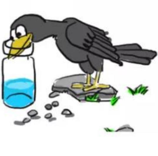 A crow drinks water/乌鸦喝水(medium)