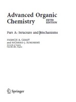 Advanced Organic Chemistry, Part A Structure and Mechanisms, 5th&nbsp;Edition