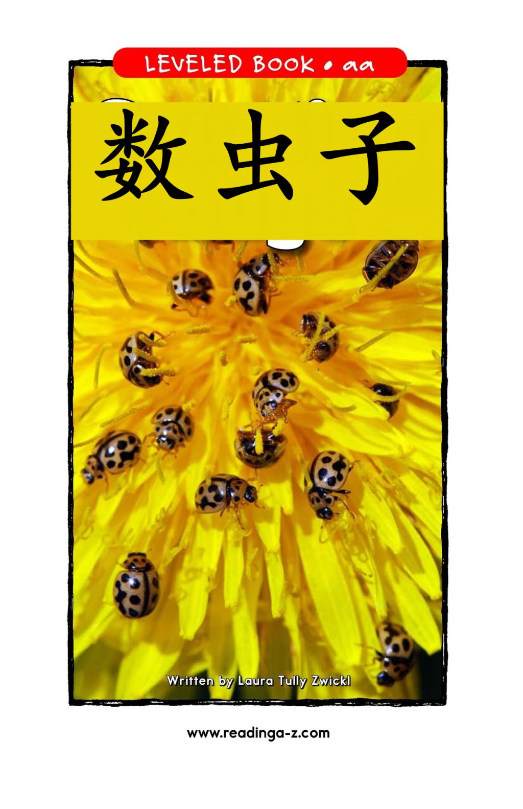 Counting bugs/数虫子