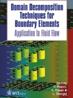 Domain Decomposition Techniques for Boundary Elements  Application to Fluid Flow (Advances in Boundary&nbsp;Elements)