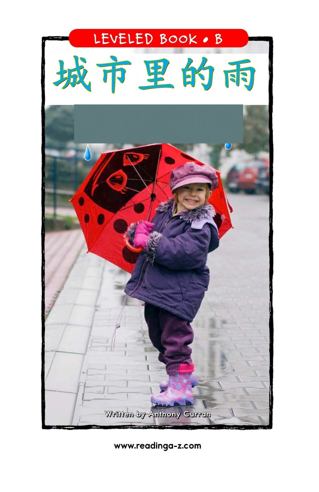 Rain in the&nbsp;City./城市里的雨。