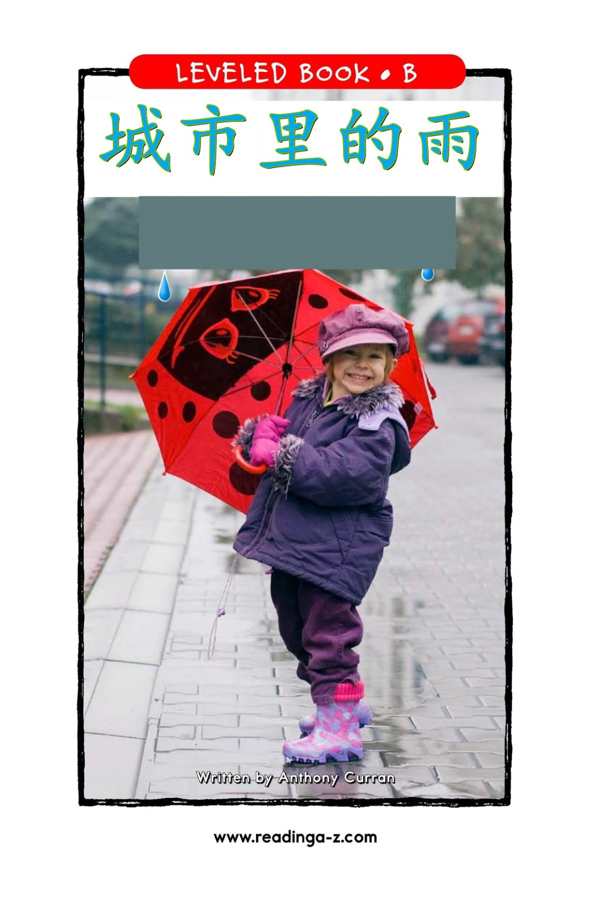 Rain in the&nbsp;City./城市里的雨。