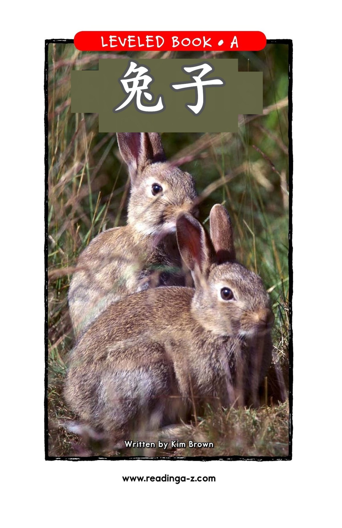 Rabbits/兔子