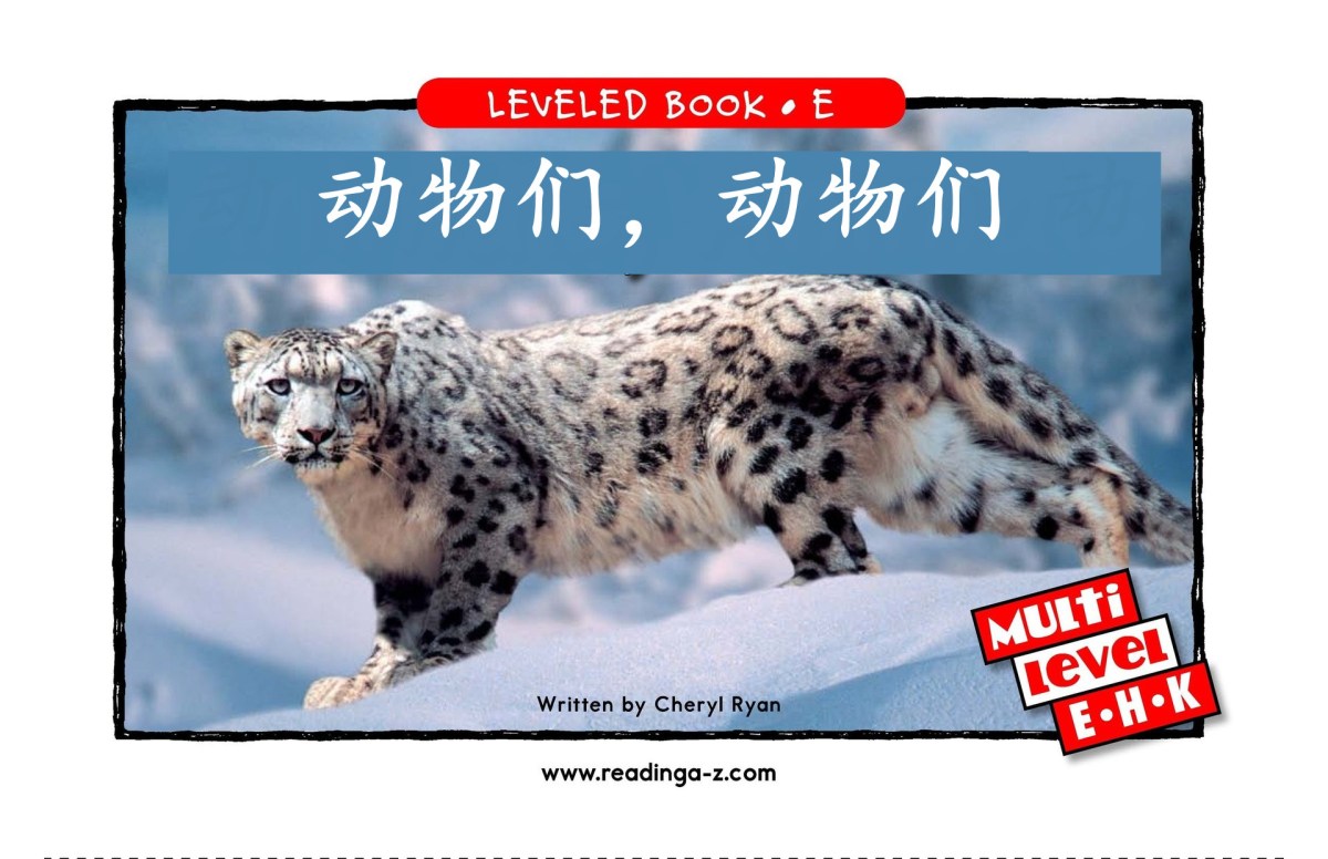 Animals，Animals 动物们，动物们