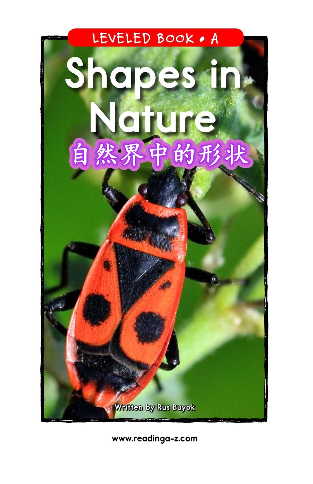 Shapes in Nature&nbsp;自然界中的形状