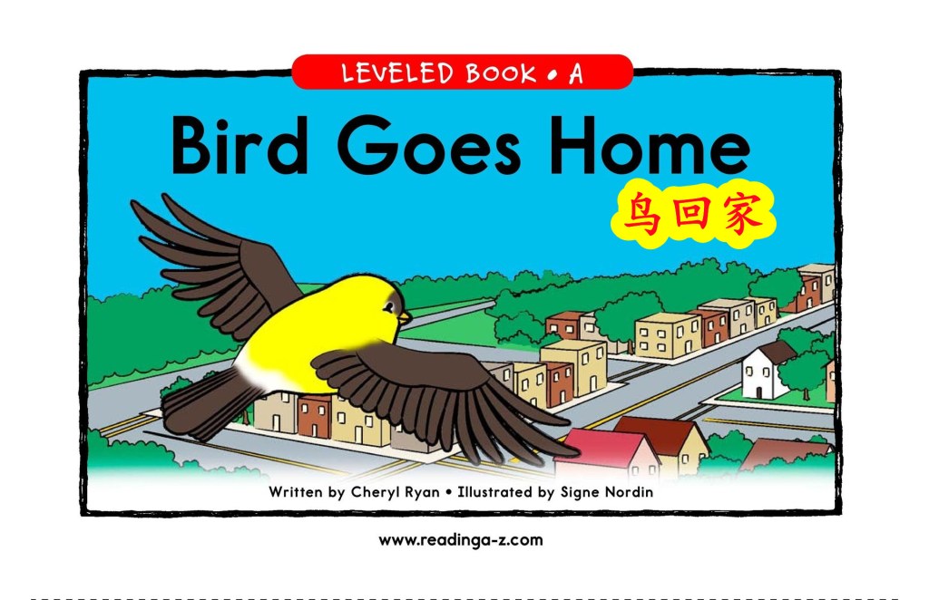 Bird Goes Home&nbsp;鸟回家