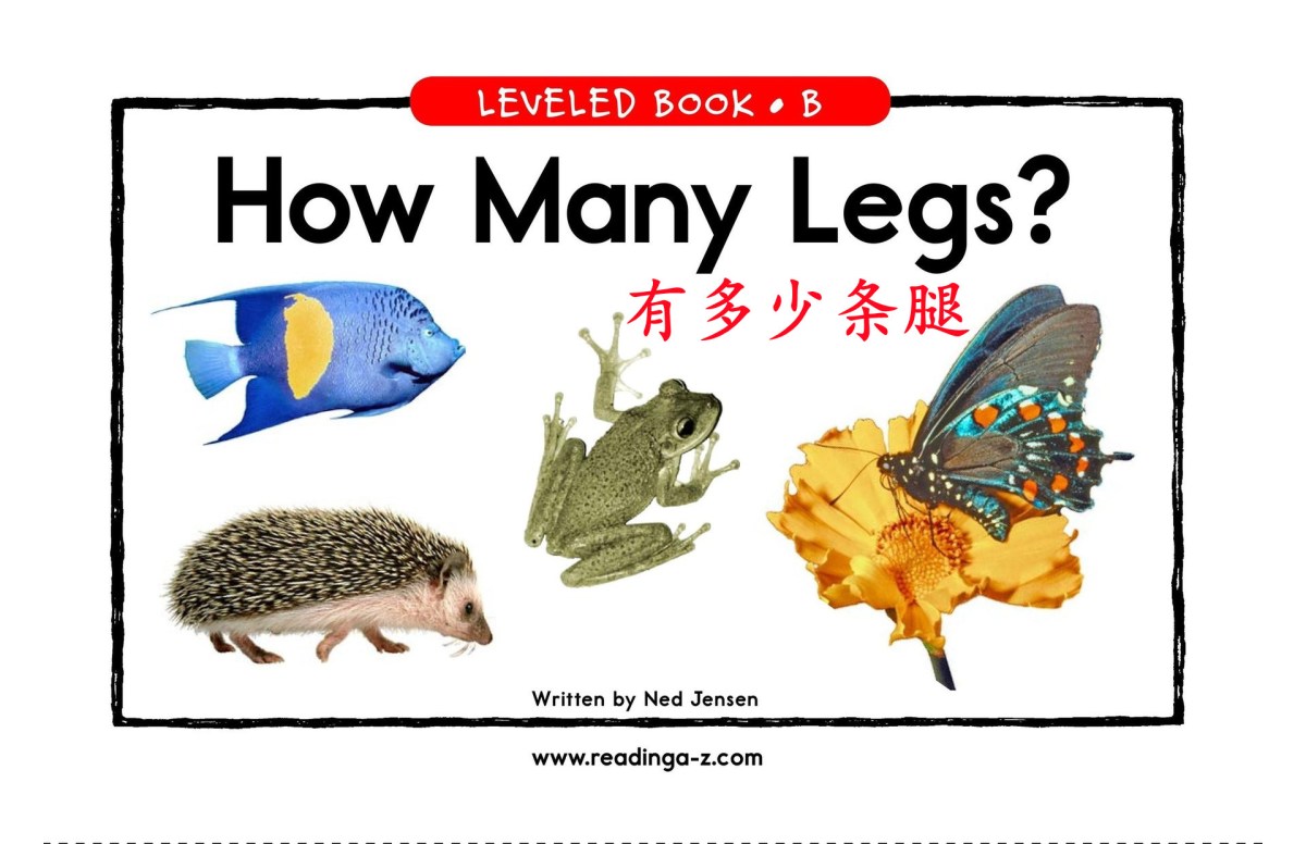 How Many Legs&nbsp;有多少条腿