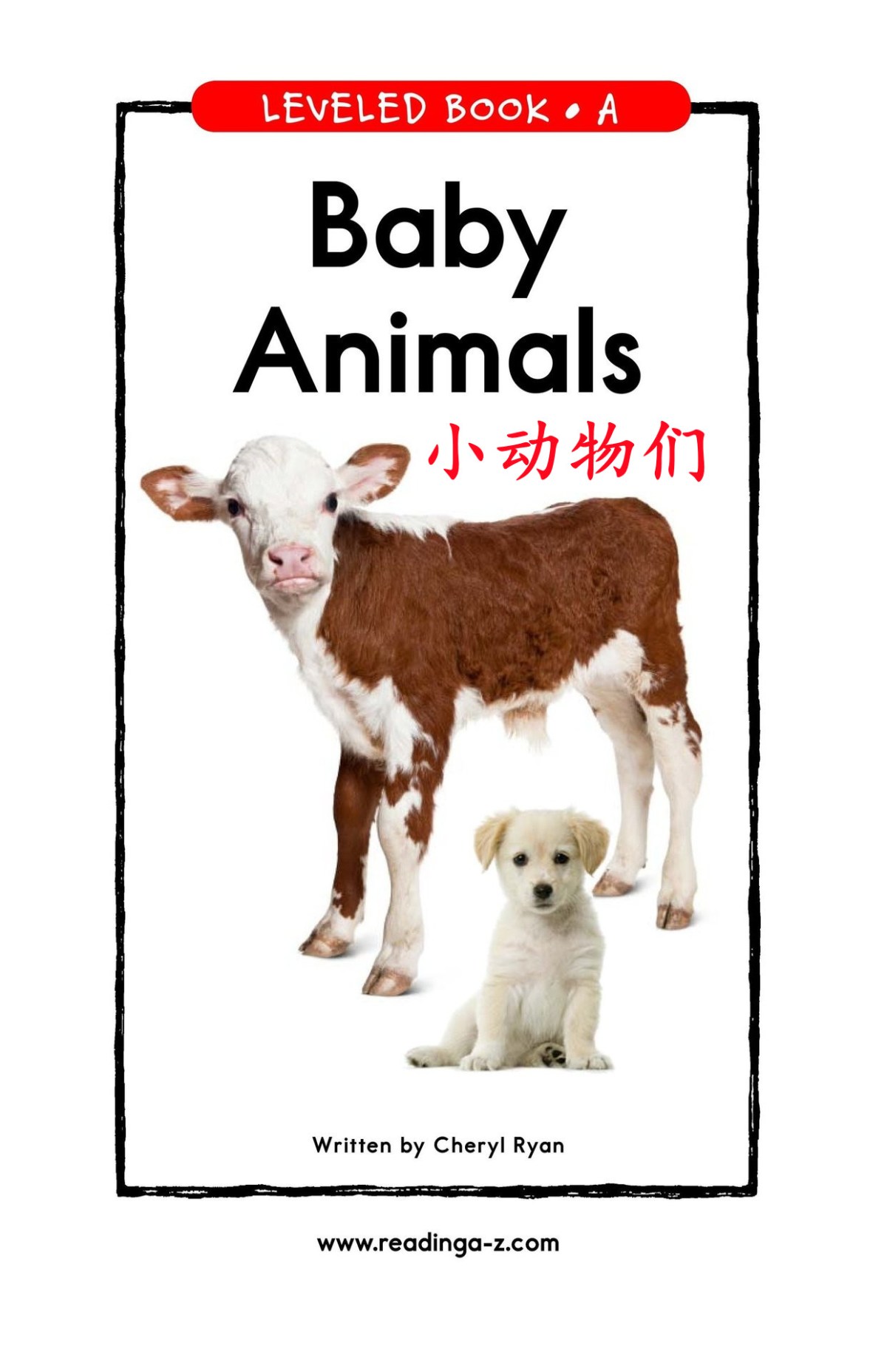Baby Animals 小动物们