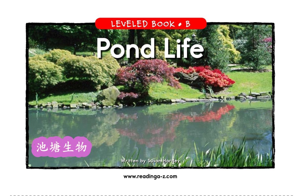 pond life 池塘生物