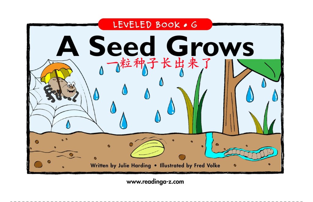A Seed Grows&nbsp;一粒种子的生长