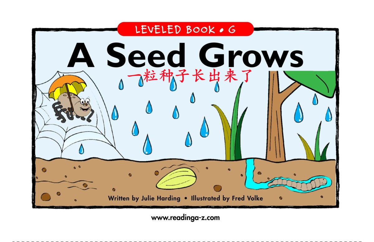 A Seed Grows&nbsp;一粒种子的生长