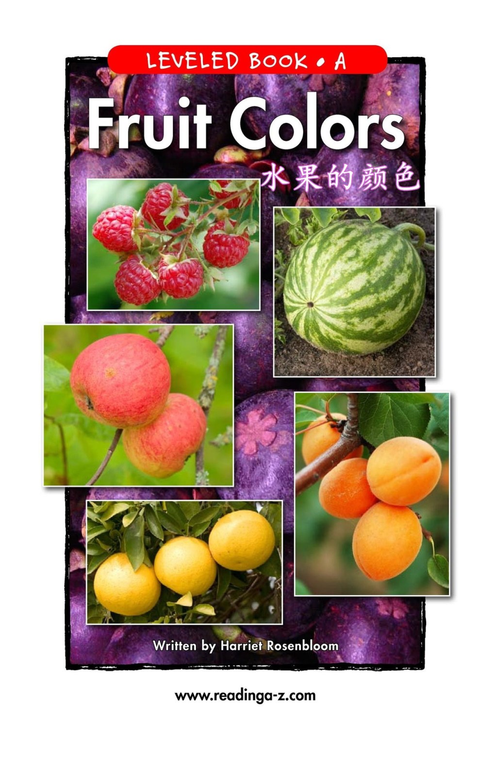 Fruit Colors 水果的颜色