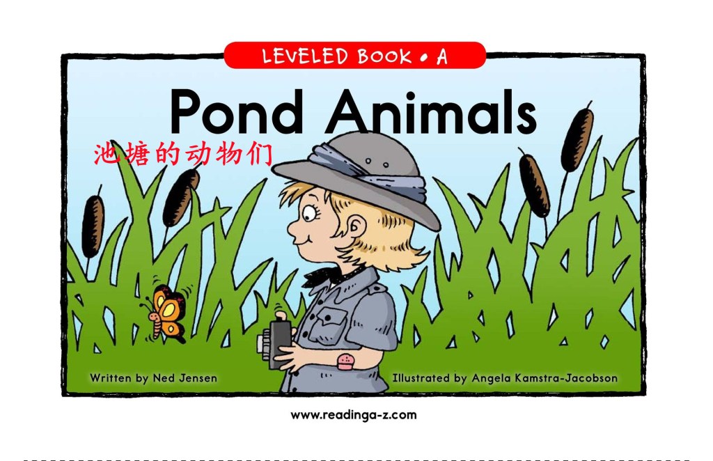 Pond Animals 池塘的动物们