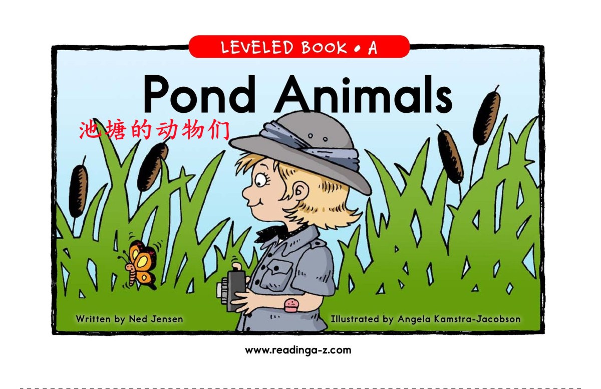 Pond Animals 池塘的动物们