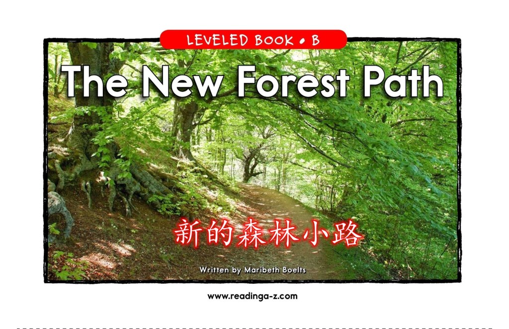 The new forest path.&nbsp;新的森林小路
