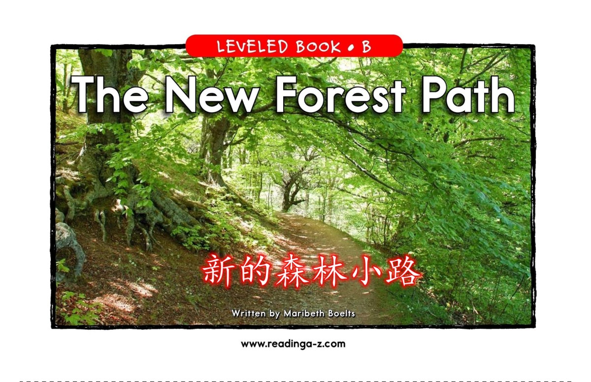 The new forest path.&nbsp;新的森林小路