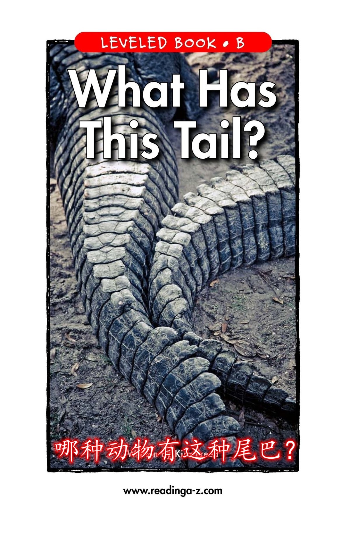 What Has This&nbsp;Tail？哪种动物有这种尾巴？