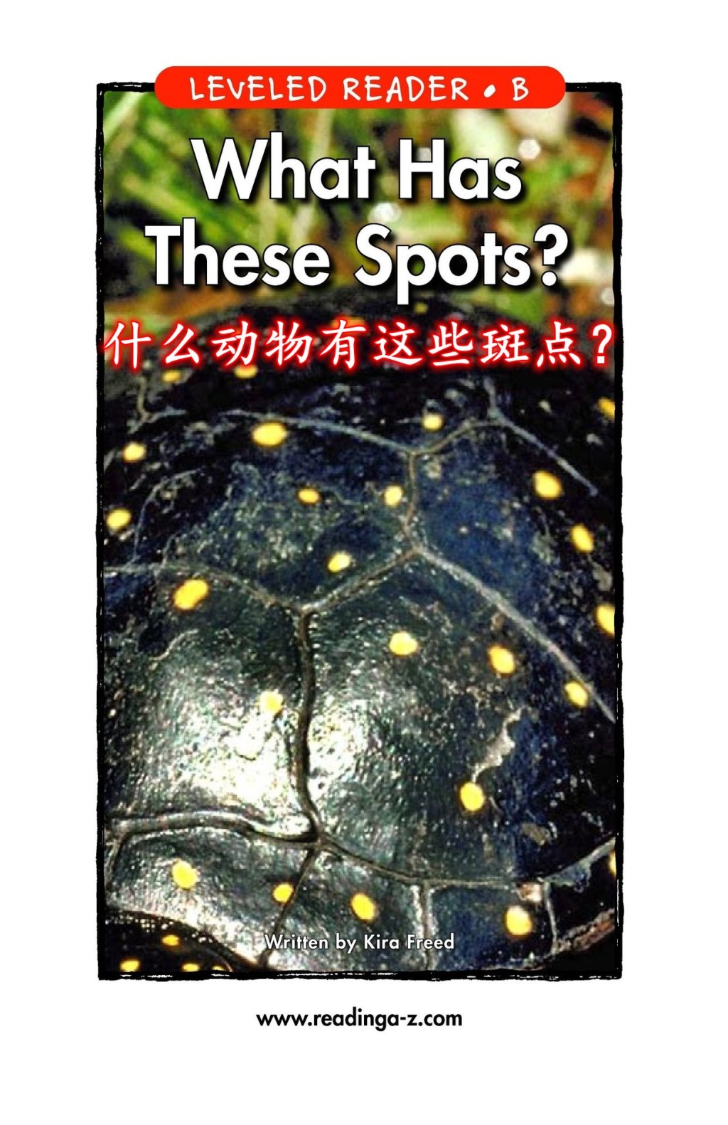 What Has These Spots？&nbsp;什么动物有这些斑点？