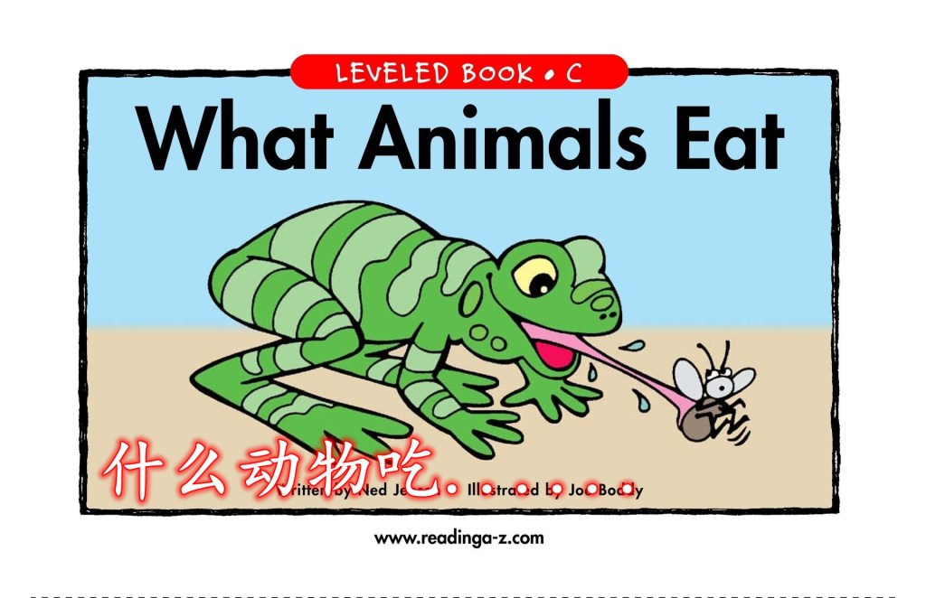 What Animals Eat？什么动物吃…？