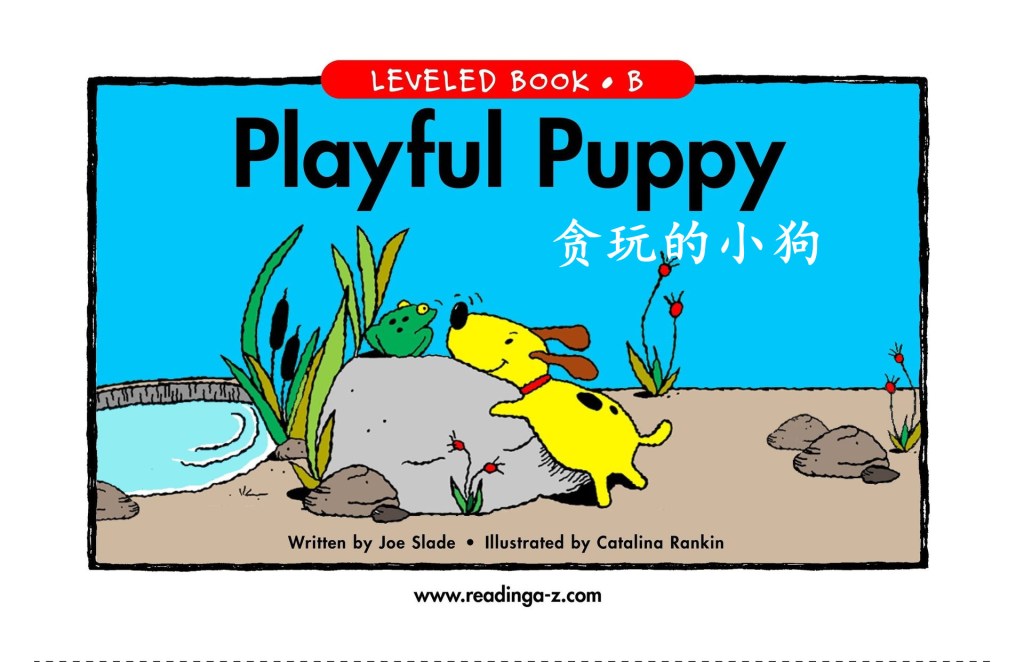 Playful Puppy 贪玩的小狗