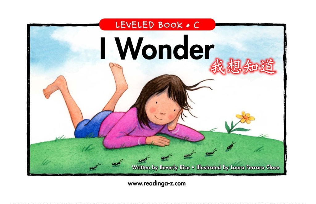 I wonder 我想知道