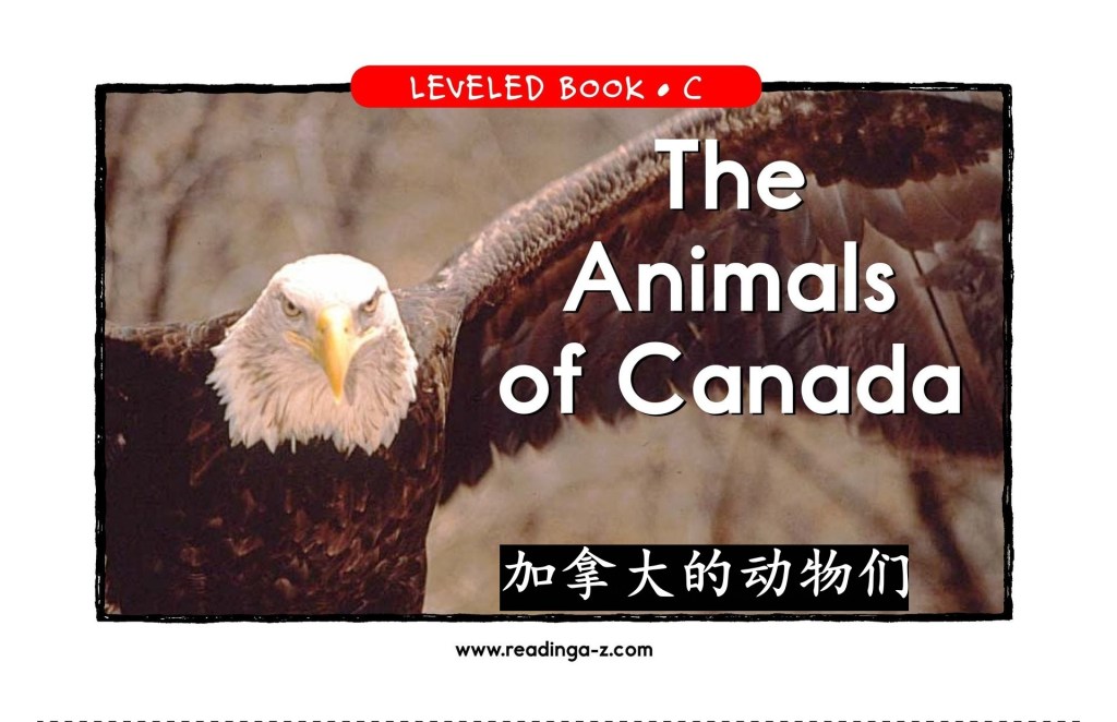 The Animals of Canada&nbsp;加拿大的动物们