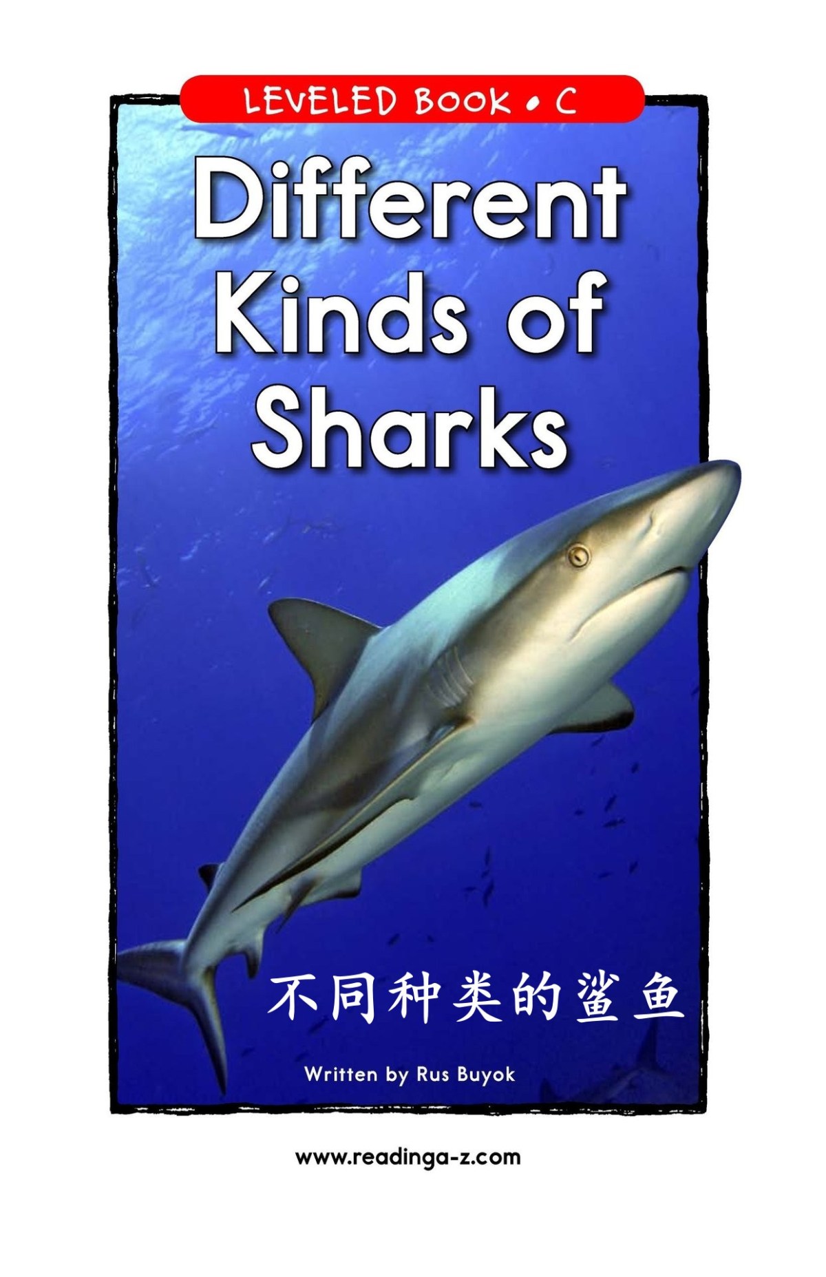 Different Kinds of Sharks&nbsp;不同种类的鲨鱼