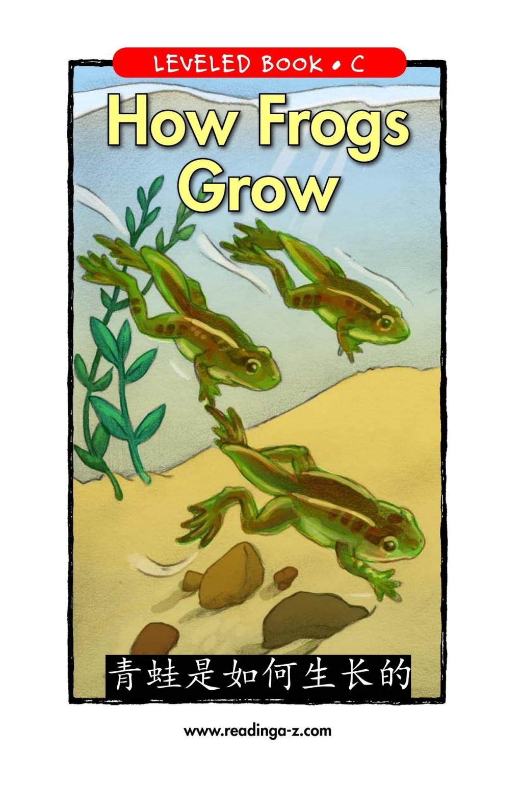 How Frogs Grow&nbsp;青蛙是如何生长的