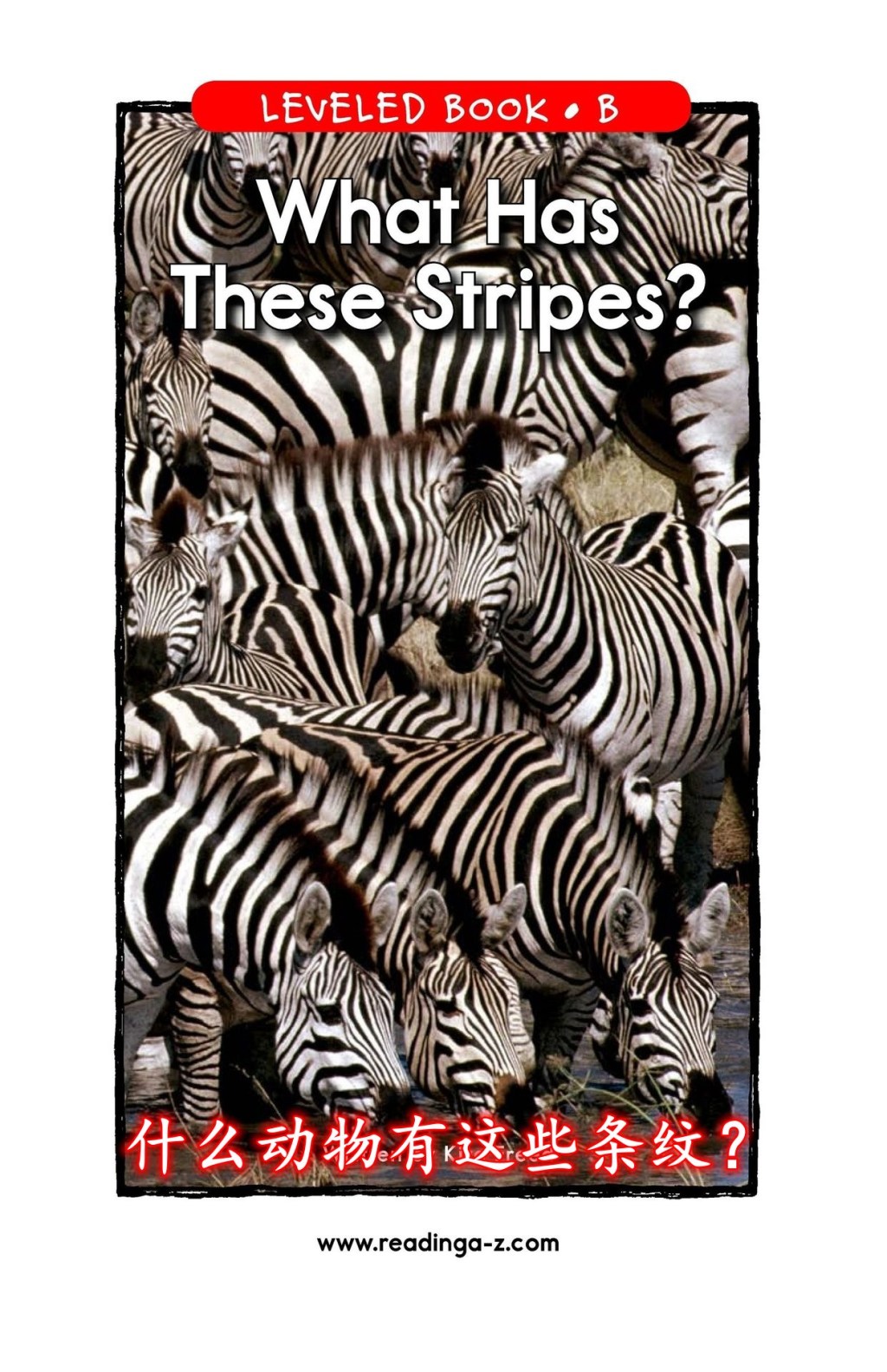 What Has These Stripes？哪种动物有这些条纹？