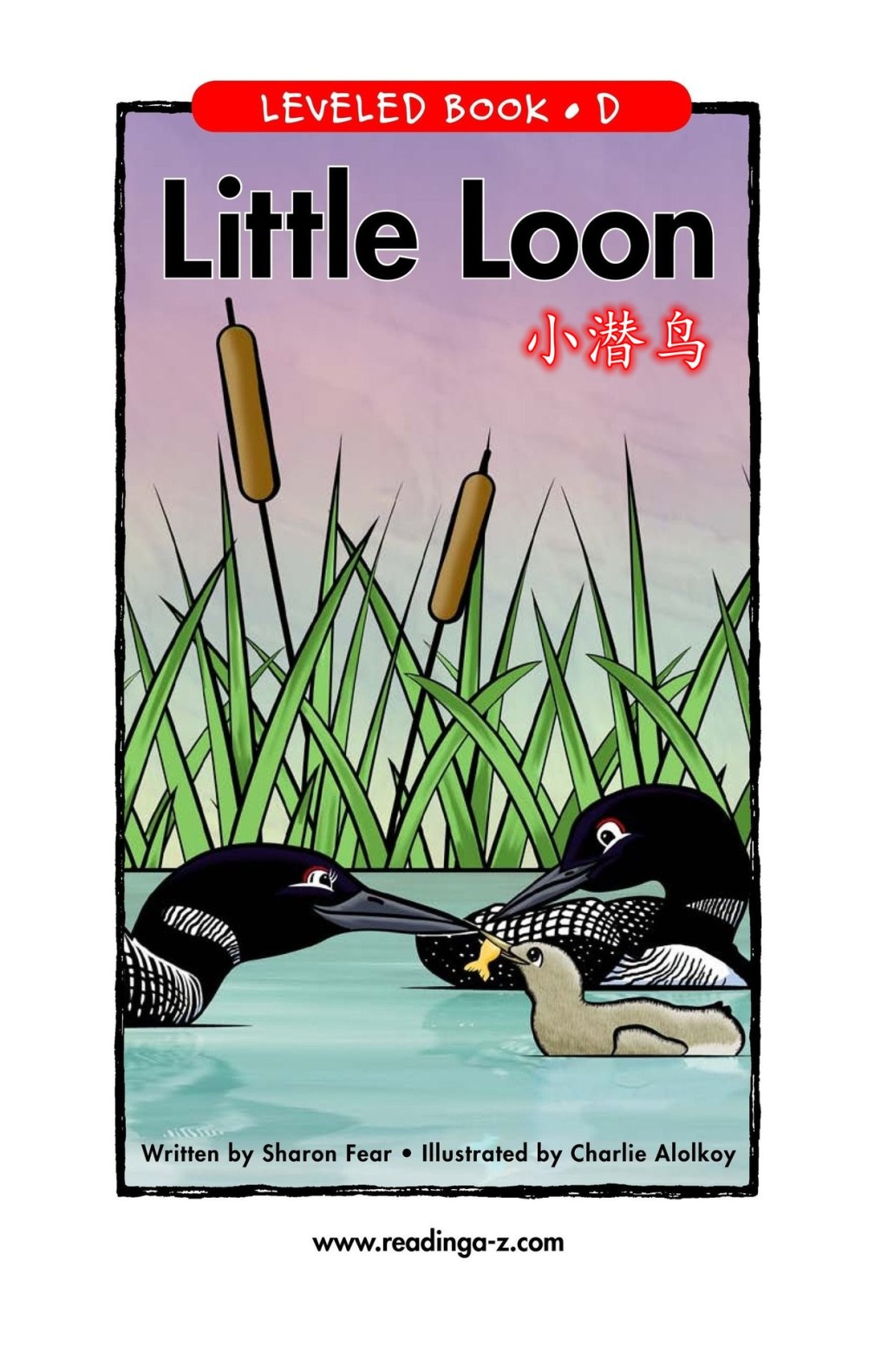 Little Loon 小潜鸟